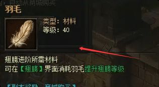 忘忧服老手揭秘：日入百羽的三大黄金法则